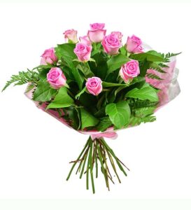 blooming pink flowers